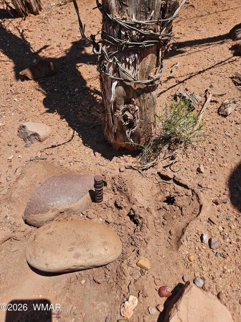 Tiny photo for 3981 Apache Road, Snowflake, AZ 85937 (MLS # 262591)