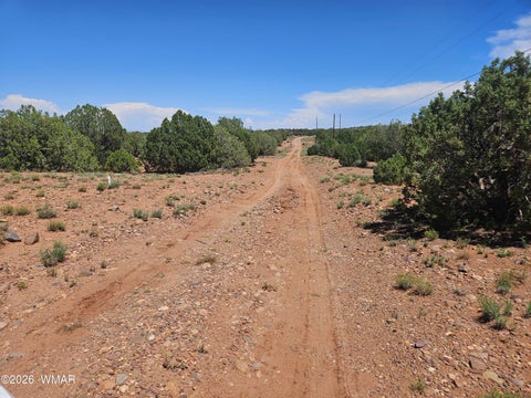 Tiny photo for 3981 Apache Road, Snowflake, AZ 85937 (MLS # 262591)