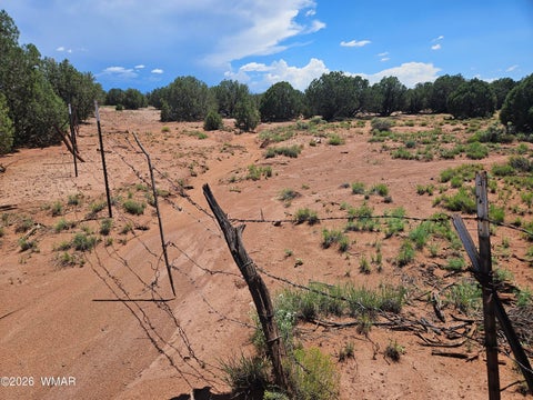 Tiny photo for 3981 Apache Road, Snowflake, AZ 85937 (MLS # 262591)