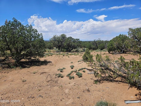 Tiny photo for 3981 Apache Road, Snowflake, AZ 85937 (MLS # 262591)
