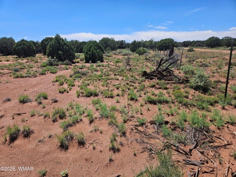 Tiny photo for 3981 Apache Road, Snowflake, AZ 85937 (MLS # 262591)