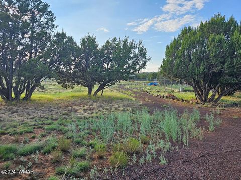 Tiny photo for 87 N 3130 Doc's Drive, Vernon, AZ 85940 (MLS # 252326)