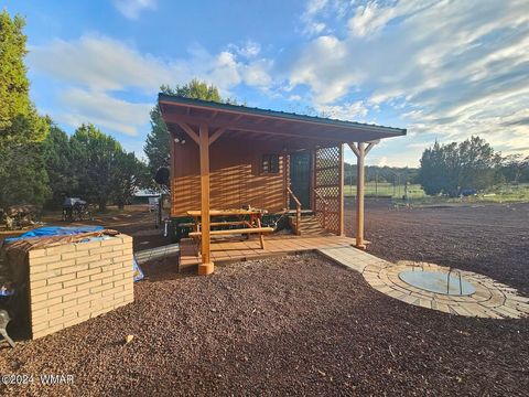 Tiny photo for 87 N 3130 Doc's Drive, Vernon, AZ 85940 (MLS # 252326)