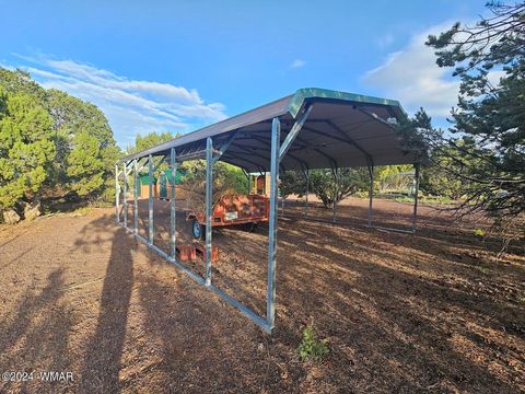 Tiny photo for 87 N 3130 Doc's Drive, Vernon, AZ 85940 (MLS # 252326)