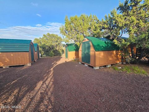 Tiny photo for 87 N 3130 Doc's Drive, Vernon, AZ 85940 (MLS # 252326)