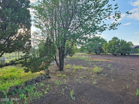 Tiny photo for 87 N 3130 Doc's Drive, Vernon, AZ 85940 (MLS # 252326)