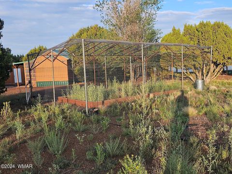 Tiny photo for 87 N 3130 Doc's Drive, Vernon, AZ 85940 (MLS # 252326)