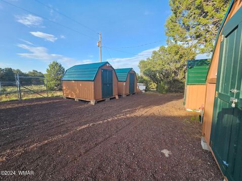 Tiny photo for 87 N 3130 Doc's Drive, Vernon, AZ 85940 (MLS # 252326)