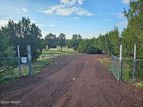Photo of 87 N 3130 Doc's Drive, Vernon, AZ 85940 (MLS # 252326)
