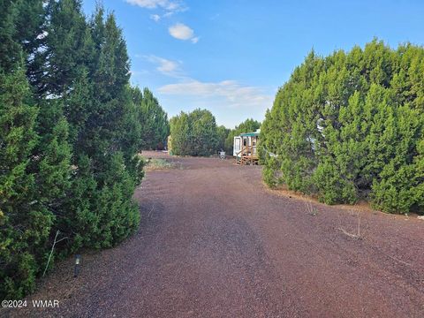 Tiny photo for 87 N 3130 Doc's Drive, Vernon, AZ 85940 (MLS # 252326)
