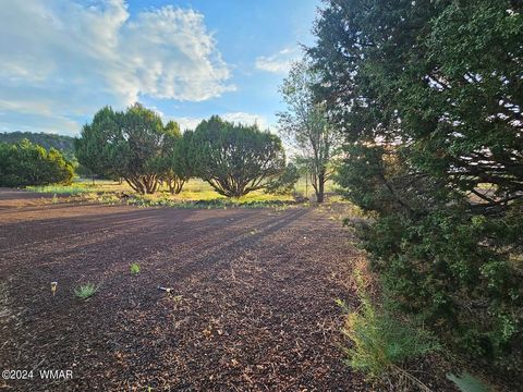 Tiny photo for 87 N 3130 Doc's Drive, Vernon, AZ 85940 (MLS # 252326)