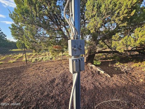 Tiny photo for 87 N 3130 Doc's Drive, Vernon, AZ 85940 (MLS # 252326)