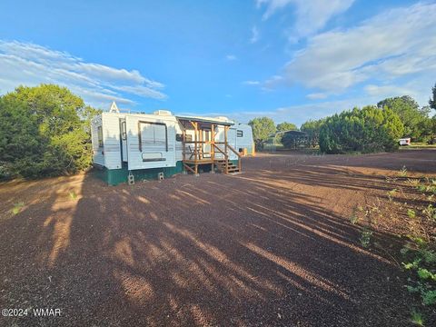 Tiny photo for 87 N 3130 Doc's Drive, Vernon, AZ 85940 (MLS # 252326)