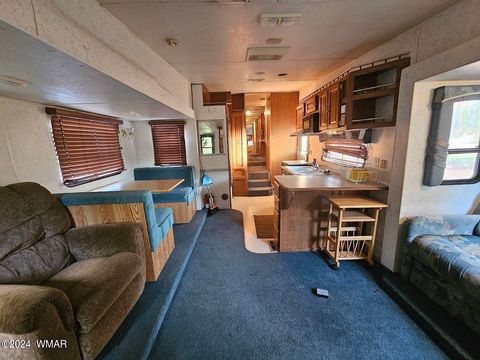 Tiny photo for 87 N 3130 Doc's Drive, Vernon, AZ 85940 (MLS # 252326)