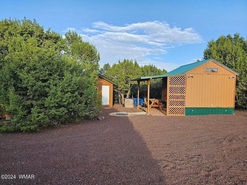 Tiny photo for 87 N 3130 Doc's Drive, Vernon, AZ 85940 (MLS # 252326)