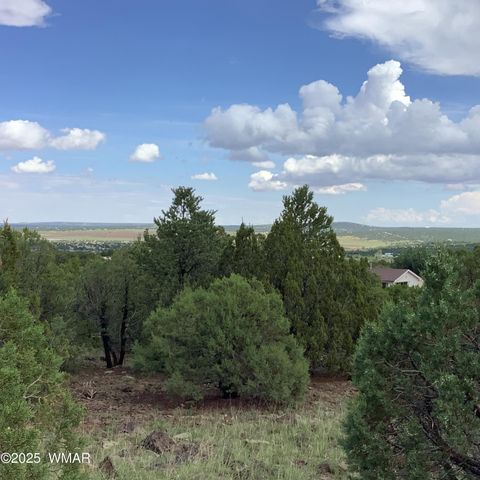 Tiny photo for 37 CR 3168, Vernon, AZ 85940 (MLS # 255652)