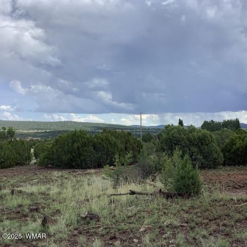 Tiny photo for 37 CR 3168, Vernon, AZ 85940 (MLS # 255652)