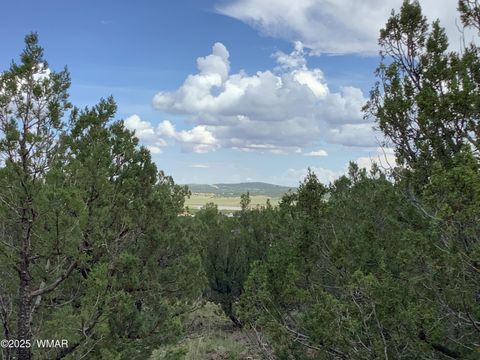 Tiny photo for 37 CR 3168, Vernon, AZ 85940 (MLS # 255652)