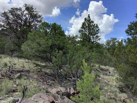Tiny photo for 37 CR 3168, Vernon, AZ 85940 (MLS # 255652)