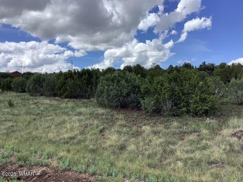 Tiny photo for 37 CR 3168, Vernon, AZ 85940 (MLS # 255652)