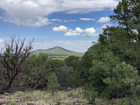 Photo of 37 CR 3168, Vernon, AZ 85940 (MLS # 255652)