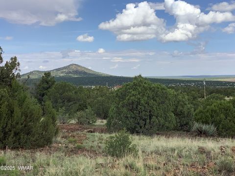 Tiny photo for 37 CR 3168, Vernon, AZ 85940 (MLS # 255652)