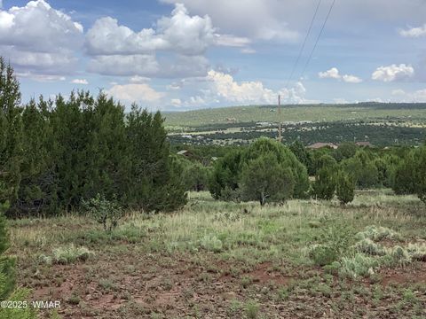 Tiny photo for 37 CR 3168, Vernon, AZ 85940 (MLS # 255652)
