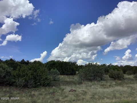 Tiny photo for 37 CR 3168, Vernon, AZ 85940 (MLS # 255652)