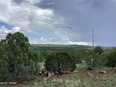 Tiny photo for 37 CR 3168, Vernon, AZ 85940 (MLS # 255652)
