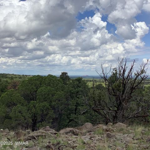 Tiny photo for 37 CR 3168, Vernon, AZ 85940 (MLS # 255652)