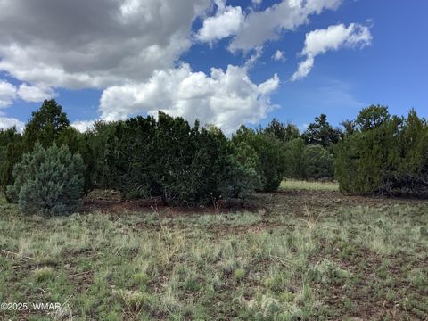 Tiny photo for 37 CR 3168, Vernon, AZ 85940 (MLS # 255652)