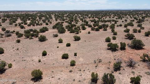 Tiny photo for TBD Rio Ranch, Concho, AZ 85924 (MLS # 256232)