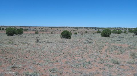 Tiny photo for TBD Rio Ranch, Concho, AZ 85924 (MLS # 256232)