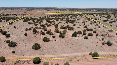 Tiny photo for TBD Rio Ranch, Concho, AZ 85924 (MLS # 256232)