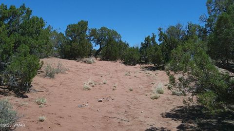 Tiny photo for TBD Rio Ranch, Concho, AZ 85924 (MLS # 256232)