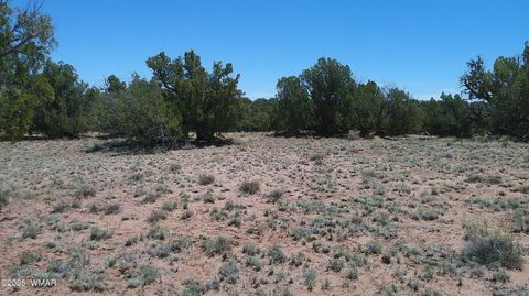 Photo of TBD Rio Ranch, Concho, AZ 85924 (MLS # 256232)