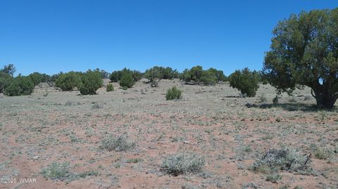 Tiny photo for TBD Rio Ranch, Concho, AZ 85924 (MLS # 256232)