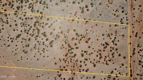 Tiny photo for TBD Rio Ranch, Concho, AZ 85924 (MLS # 256232)