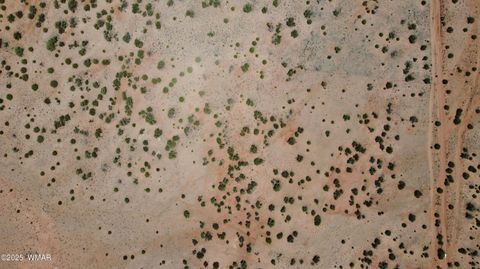 Tiny photo for TBD Rio Ranch, Concho, AZ 85924 (MLS # 256232)