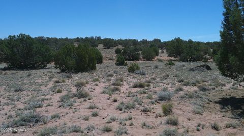 Tiny photo for TBD Rio Ranch, Concho, AZ 85924 (MLS # 256232)