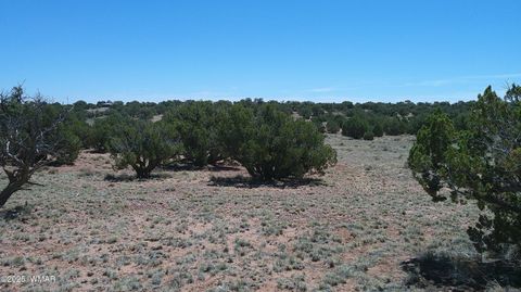 Tiny photo for TBD Rio Ranch, Concho, AZ 85924 (MLS # 256232)