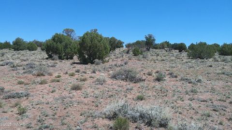 Tiny photo for TBD Rio Ranch, Concho, AZ 85924 (MLS # 256232)