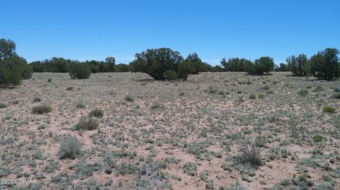 Tiny photo for TBD Rio Ranch, Concho, AZ 85924 (MLS # 256232)