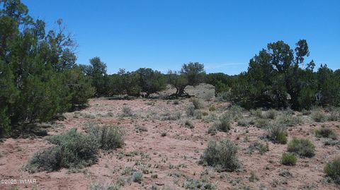 Tiny photo for TBD Rio Ranch, Concho, AZ 85924 (MLS # 256232)