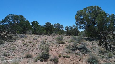 Tiny photo for TBD Rio Ranch, Concho, AZ 85924 (MLS # 256232)