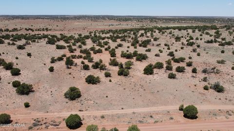 Tiny photo for TBD Rio Ranch, Concho, AZ 85924 (MLS # 256232)