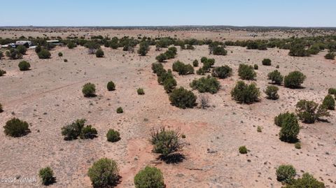 Tiny photo for TBD Rio Ranch, Concho, AZ 85924 (MLS # 256232)