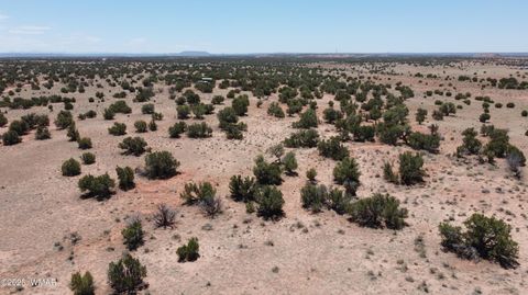Tiny photo for TBD Rio Ranch, Concho, AZ 85924 (MLS # 256232)