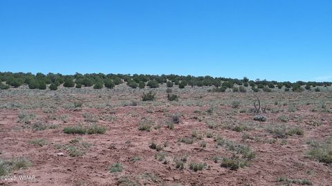 Tiny photo for TBD Rio Ranch, Concho, AZ 85924 (MLS # 256232)