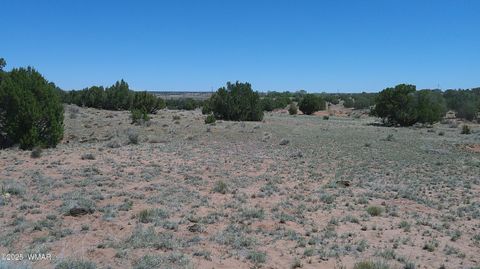 Tiny photo for TBD Rio Ranch, Concho, AZ 85924 (MLS # 256232)